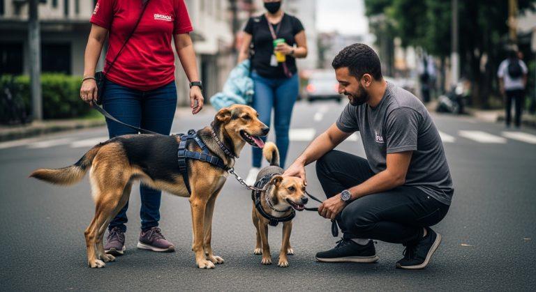 A Brazilian community street with dogs and neighbors gathering after floods.